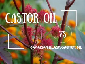 castor oil vs jamaican black castor oil