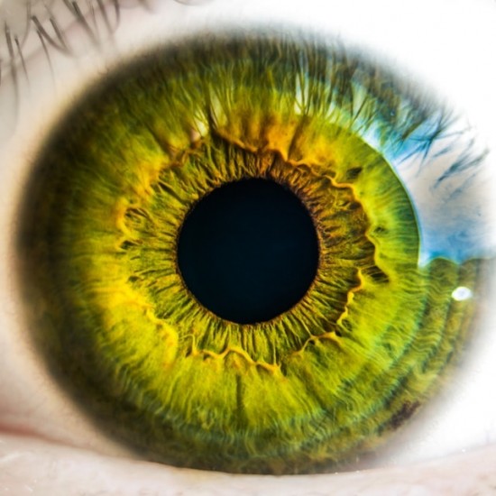 Can Castor Oil Cure Cataracts? | Castor Oil Guide