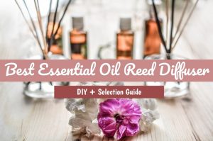 Best Essential Oil Reed Diffuser | Castor Oil Guide