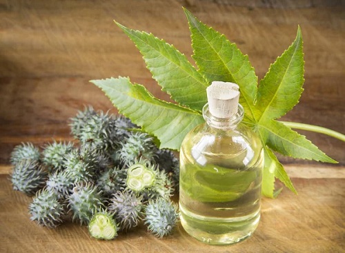 Is Castor Oil Good for Frizzy Hair? 1