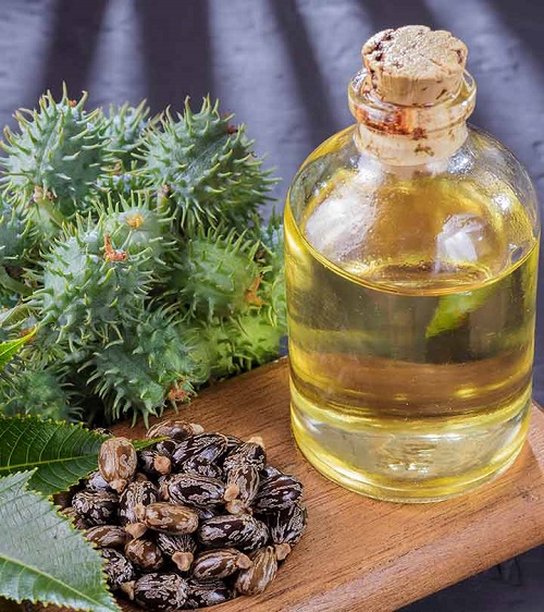 Is Castor Oil for Weight Loss Effective? 1
