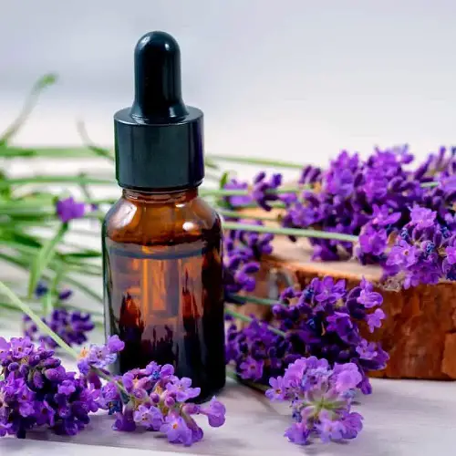 Lavender Essential Oil