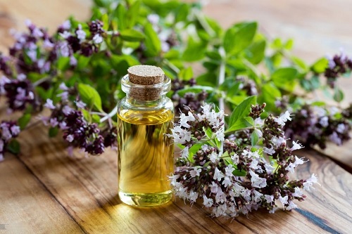 11 Effective Essential Oils for Toothache 6