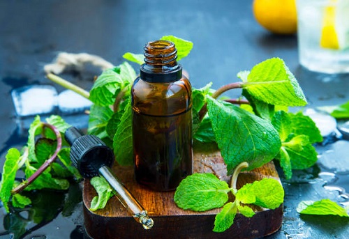 Essential Oils for Muscle Pain 1