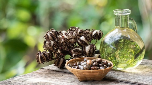 Castor Oil for Crohn's Disease | Benefits and Usage 1
