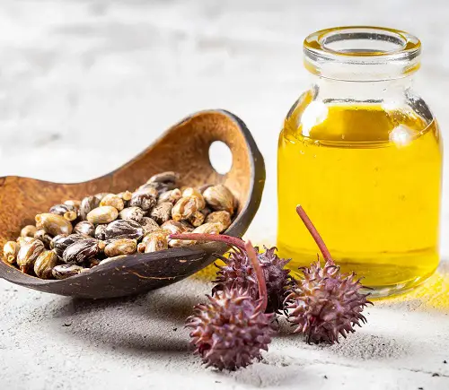 7 Castor Oil Ayurveda Benefits and Usage 1