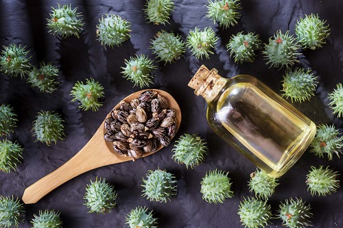 Castor Oil Massage for Peyronie's Disease | Benefits and Usage 1