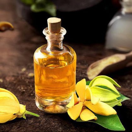 Amazing Can You Use Jojoba Oil As Lube Design Art Amazing Can You Use Jojoba Oil As Lube Design Art