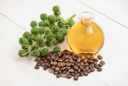 Castor Oil at Target: The Ultimate Buyer's Guide 1