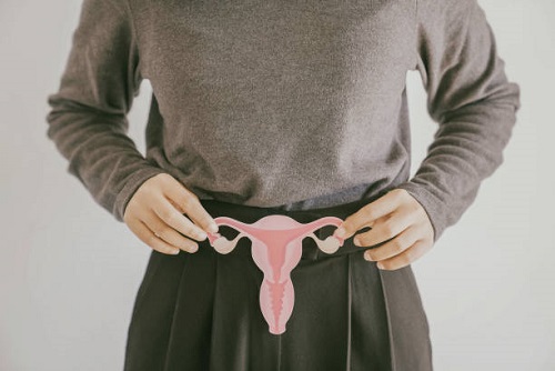 Does Castor Oil Increase Estrogen 1