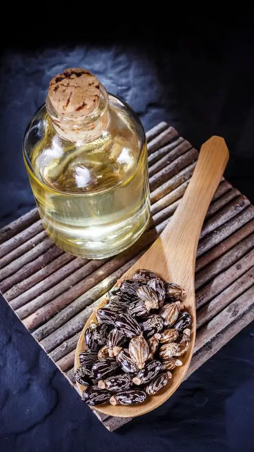 Castor Oil For Hashimoto's Disease