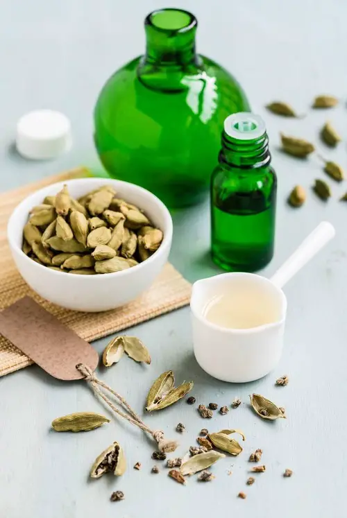 Cardamom Essential Oil Uses and Benefits 1