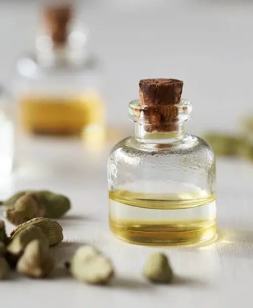 Cardamom Essential Oil Uses and Benefits 2