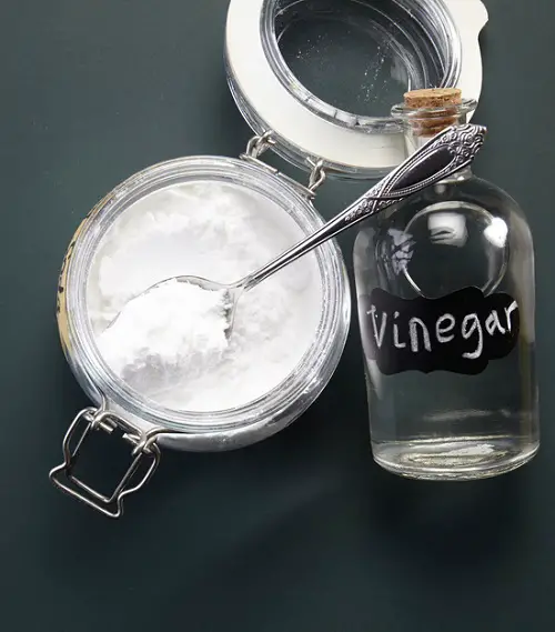 Baking Soda & Vinegar