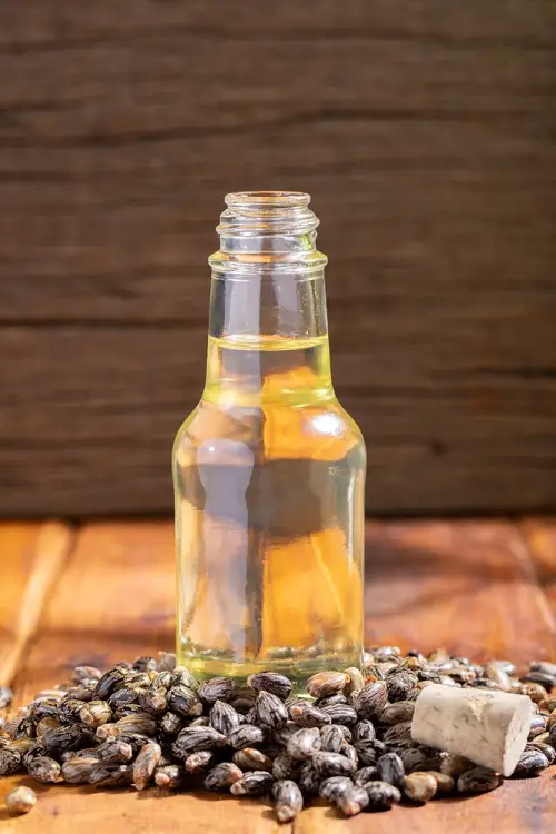 Does Castor Oil Increase Libido