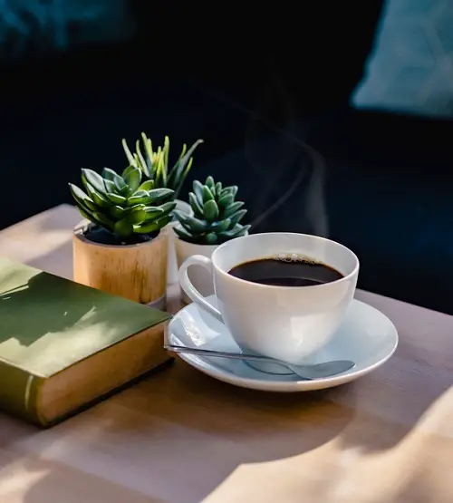Does Coffee Cause Kidney Stones 1