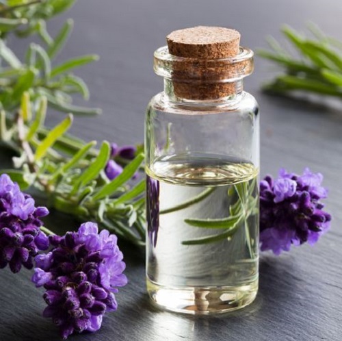 Lavender Oil - For Wrinkle Free Skin