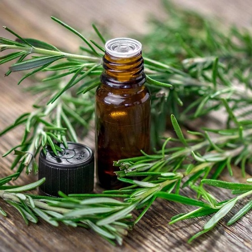 Rosemary Oil For Wrinkle Free Skin