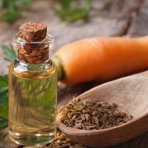 Best Oils For Wrinkle Free Skin - Wild Carrot Oil