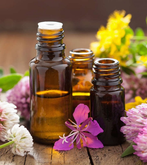 Best Essential Oils That Repel Bugs