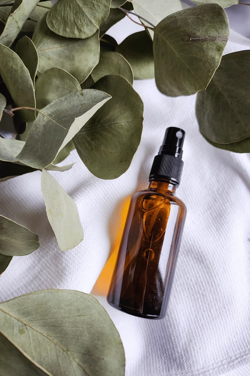 How to DIY Your Own Eucalyptus Oil