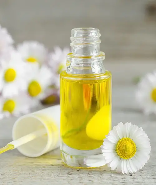 Cuticle Oil Benefits