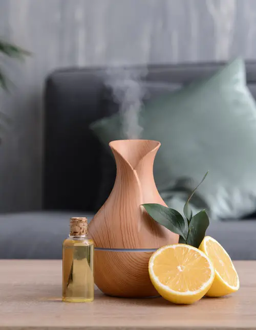 citrus diffuser