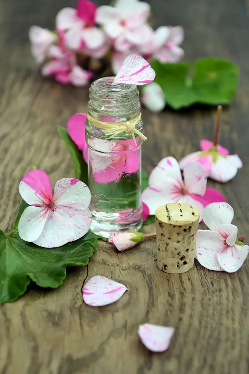 Scientific Reasons To Use Geranium Oil For Healthy, Glowing Skin