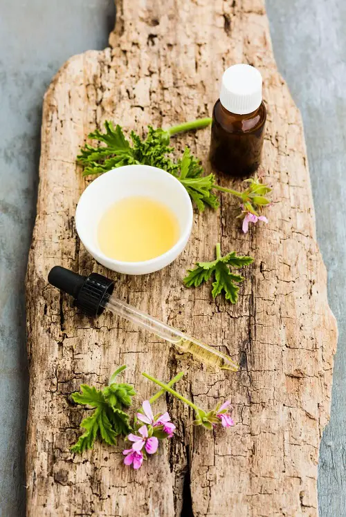 DIY Germanium Oil