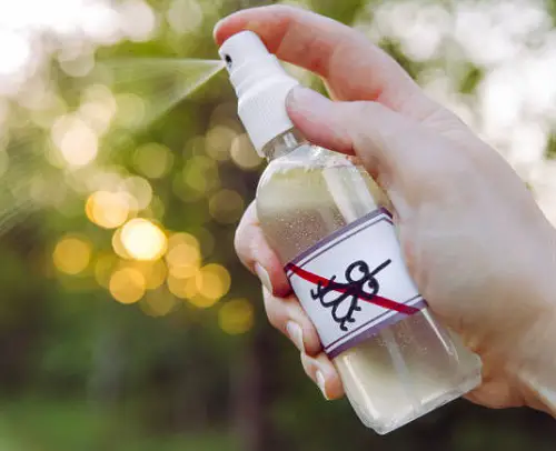 Essential Oil Repellent Spray