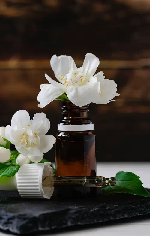 Best Essential Oils For Manifestation 3