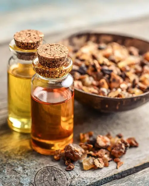 Best Essential Oils For Manifestation 1