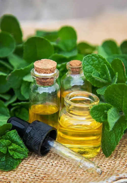 Use Essential Oils for Skin 3