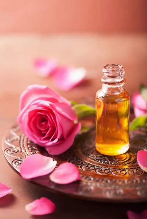 Essential Oil From Rose