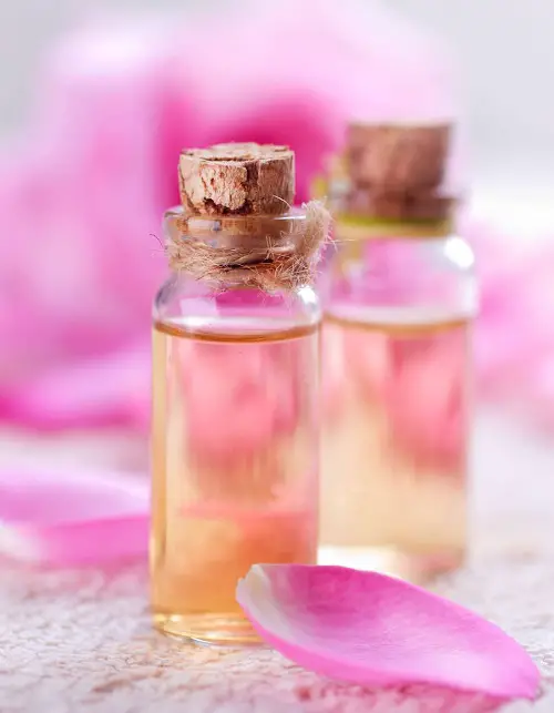 DIY Recipes Of  Rose Essential Oil