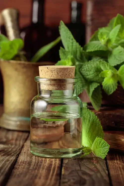 Essential Oils That Help Relieve Nausea 3