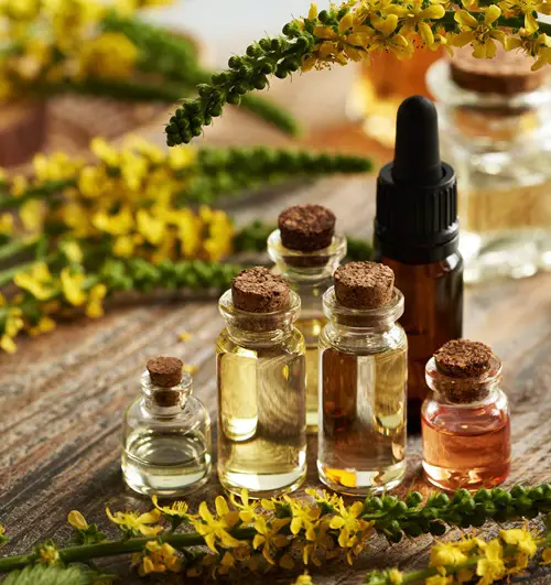 Essential Oil Recipes That’ll Make You Feel Like You’re on Vacation