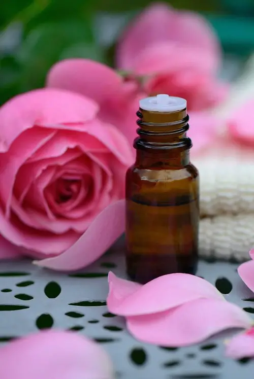 How To Make Essential Oil From Rose Petals 1