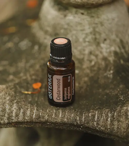 Essential Oils To Women