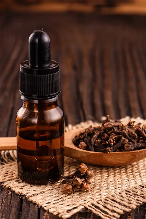 Essential Oils for hair 2