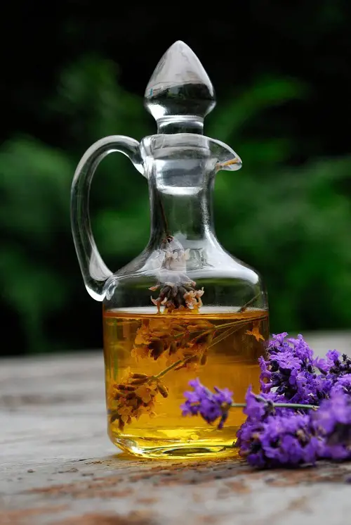 Lavender Oil Health Benefits 1