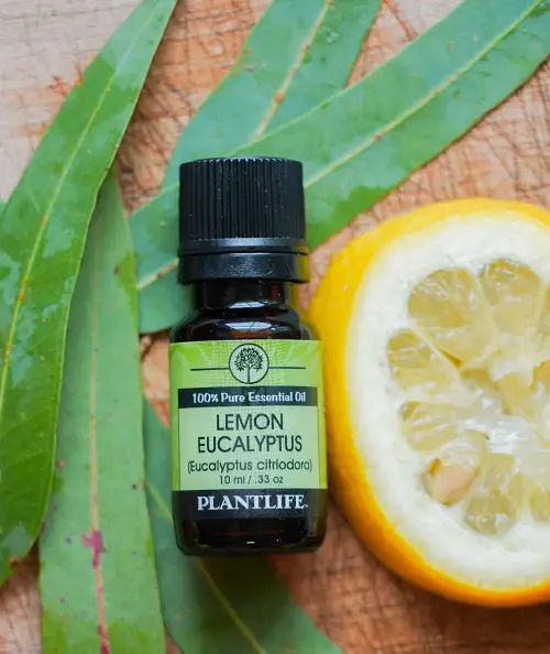 Essential Oils for skin
