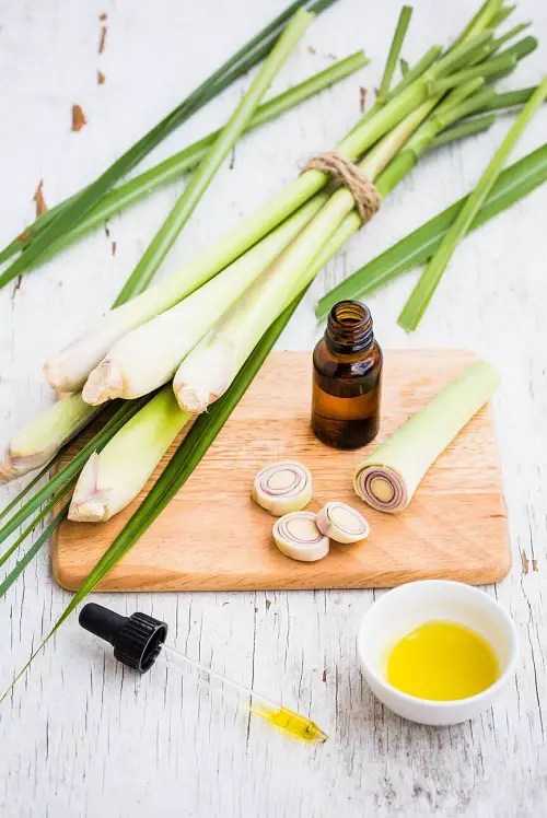 Lemongrass Oil