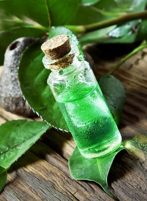 How To Get Rid Of Ants With Essential Oils 3