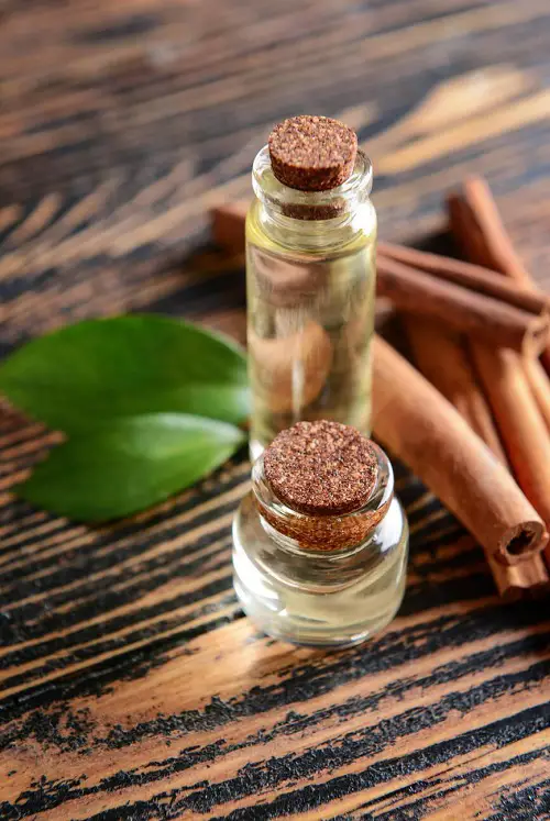 Anti-Bacterial Properties