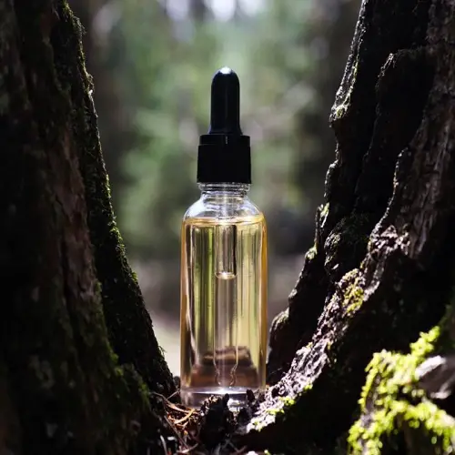 Amyris Essential Oil Uses, Benefits And Recipes 1