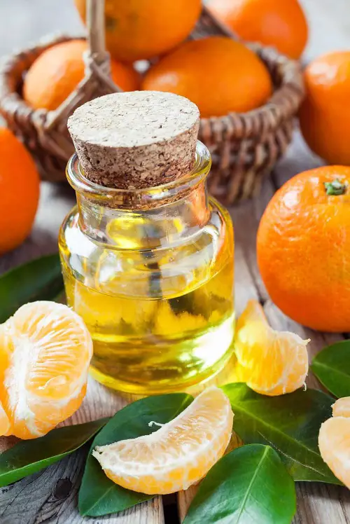Mandarin Essential Oil Benefits 1
