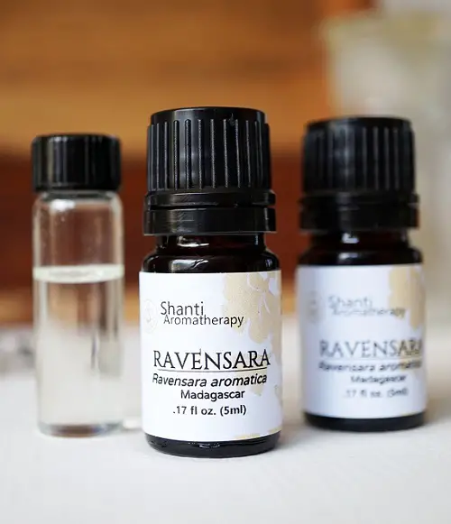 How to Use Ravensara Essential Oil and Its Benefits