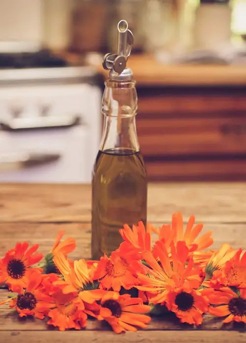 DIY Herb-Infused Oil 2