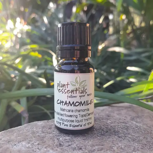 Chamomile oil